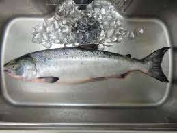 3d pedomom|Peds Mom | TikTok