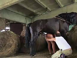 Horse fuck vid with a big dude free bestiality and animal porn jpg x Fucks horse