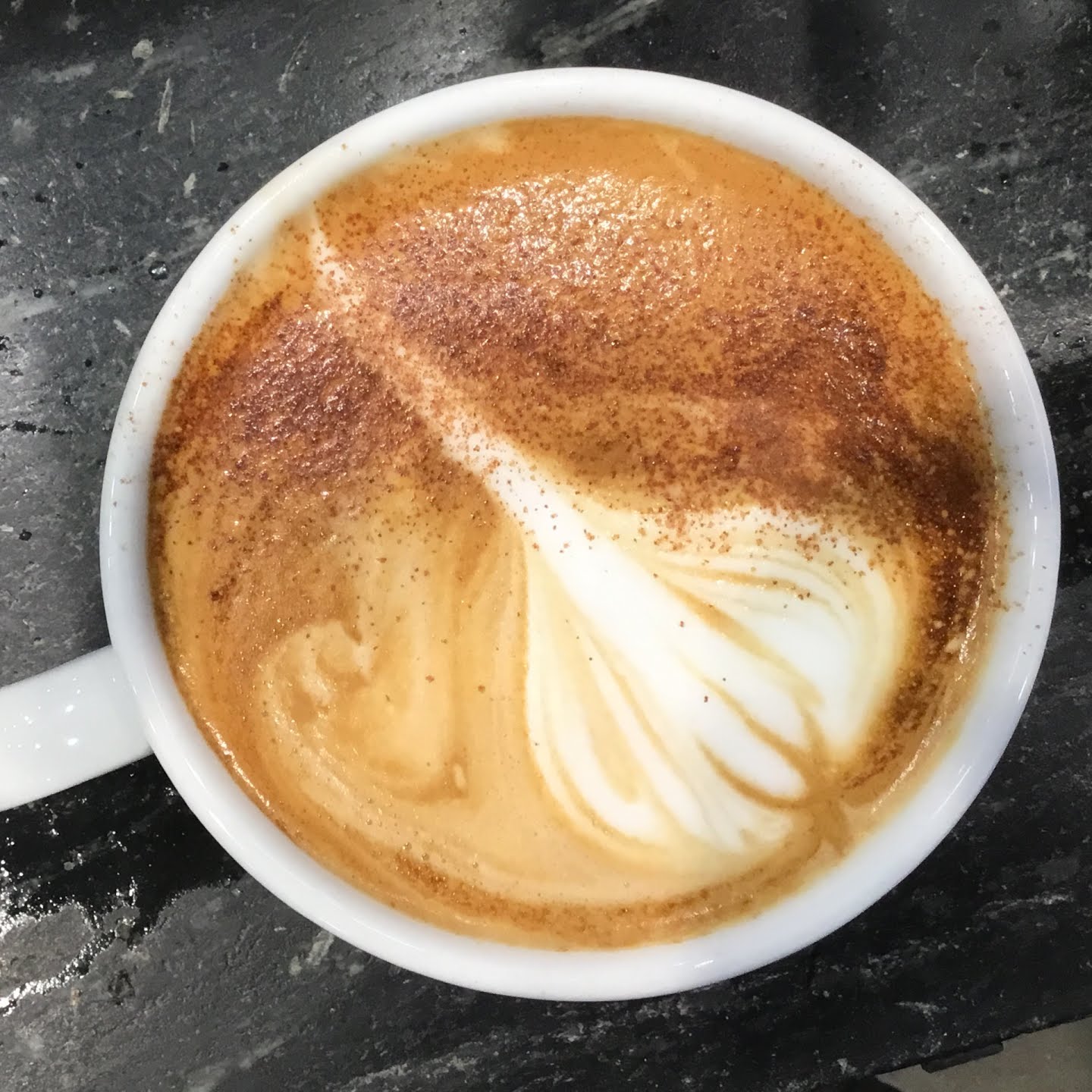 Union Square Donuts by null