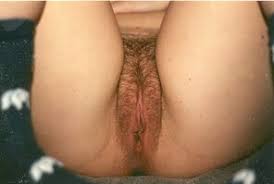 Who is this hairy beauty find porn image pornbaba jpg x Hairy beauty