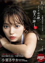 小さなふくらみ　写真集|駿河屋 -【アダルト】<中古>ふくらみ始めの女の子（ＡＶ）