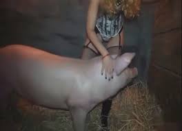 Woman and the pig jpg x Pig fuck girl