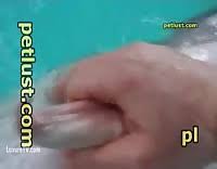 Girl fucks dolphin nixdcom jpg x Dolphin fucks girl