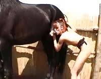 Horse fucks slutty teens in stable png x Girl fucks horse