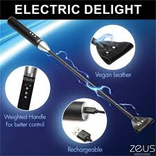 Zeus electrosex mode palm powerbox brands jpg x Zeus electrosex