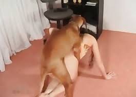 Filming the slutty wife and the strong dog fucking zoo porn jpg x Wife and dog sex