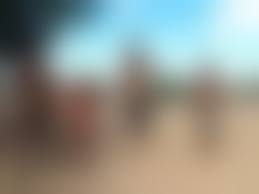 xingu pussy nude|Xingu Porn - 27 photos