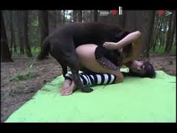 Big dog fucks girl jpg x Big dog fucks girl