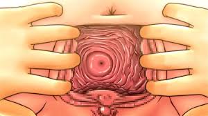 Extreme real cervix fucking insertion japanese sounds and objects in uterus jpg x Cervix fuck