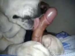 Man fuck animal jpg x Man fuck animal