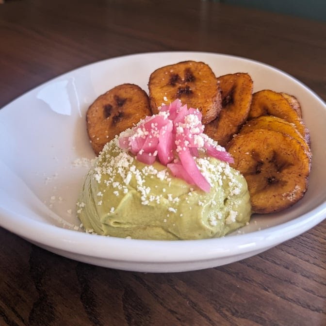 Pink Flamingo by null