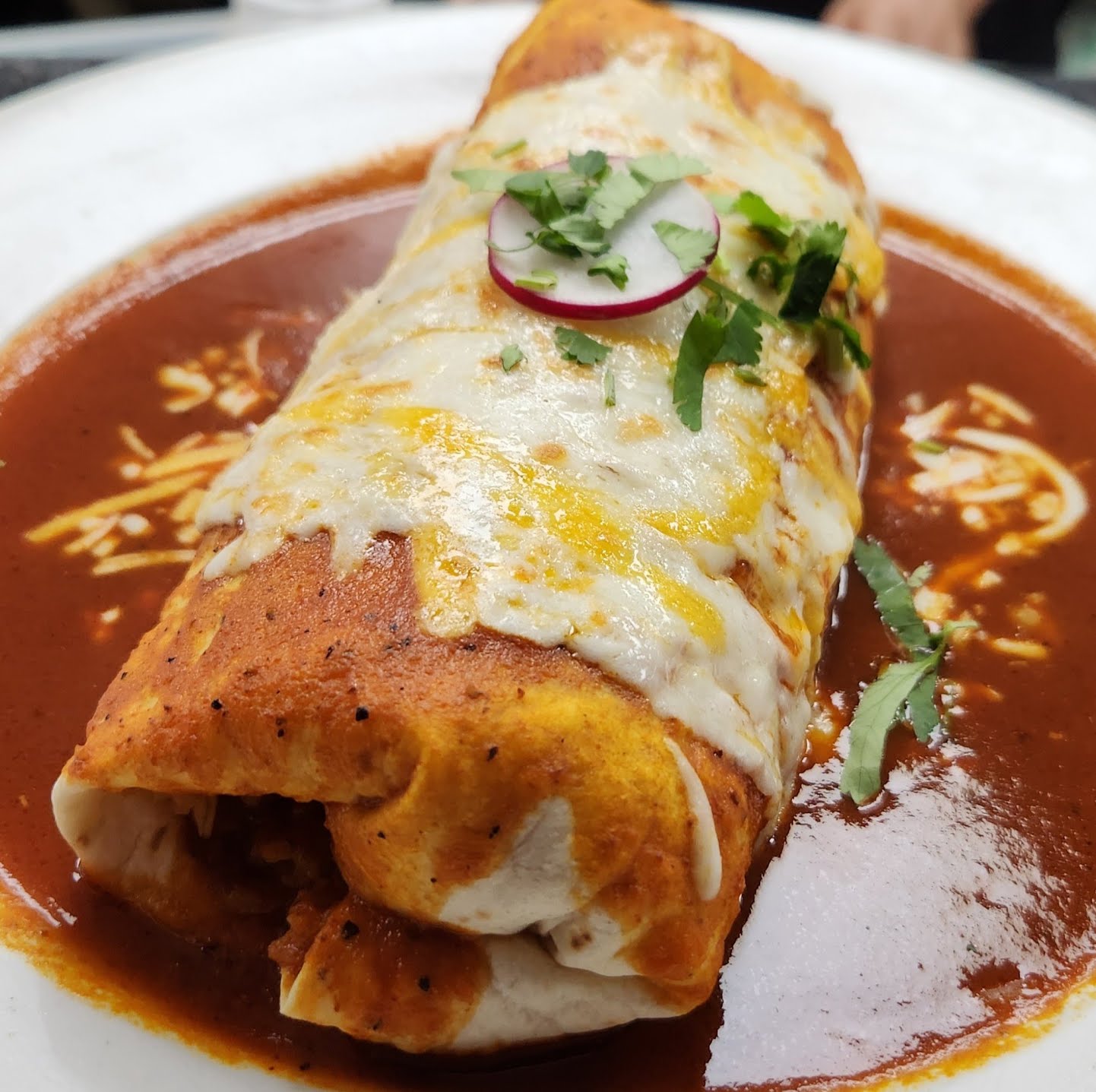 Móle Mexican Bar & Grill - West Village by null