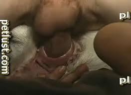 Amazing goat fucking gay porn in zoophilia xxx jpg x Man fucking goat