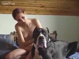 Dog sucking bestiality jpg x Girl sucking dog dick