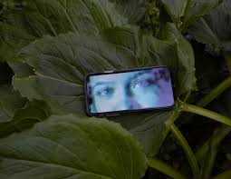 Dasha anya pussy|Announcements - e-flux