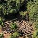 Wilderness lost: Earth's wild lands in catastrophic decline 