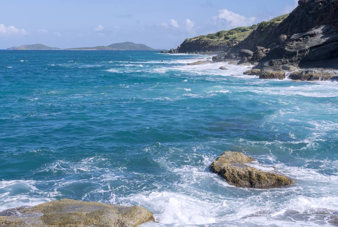 Culebrita by null