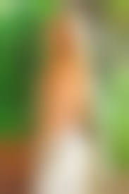 blonde girl nude butt|Blonde babe Brigitte does exercise butt naked in public & masturbates at  home - Pichunter