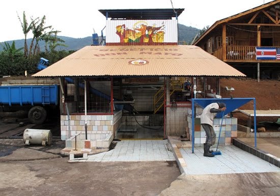 Willoughby's Coffee & Tea by null