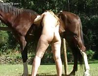 Fucking horses jpg x Fucking horses