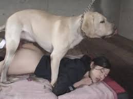 Teen girl talks on the phone while having dog sex zoo porn dog at katitube jpg x Girl fuck by dog