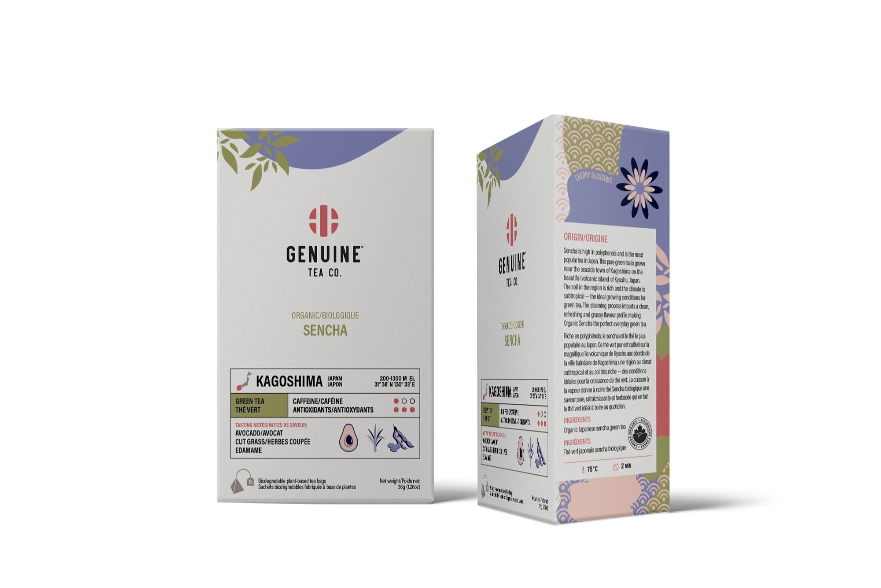 Balzac's UP Express by null