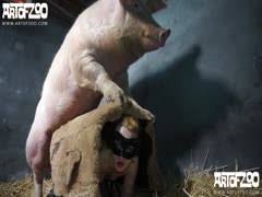 Wild boar fucks a girl sex with pigs jpg x Pig fuck girl