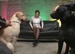 Art of zoo linda lovelace interview dogarama dog fucker movie jpg x Fuck my dog