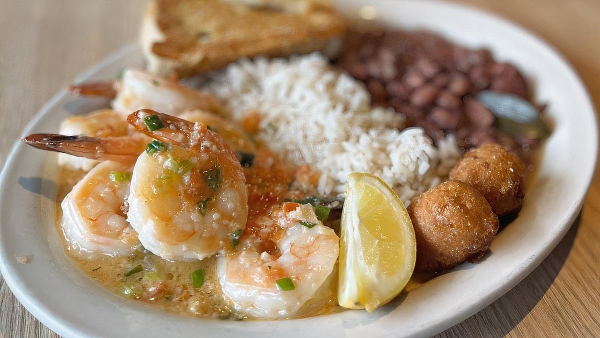 The Catch Mwc by null