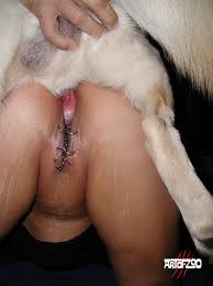 Women and dog sex jpg x Women and dog sex