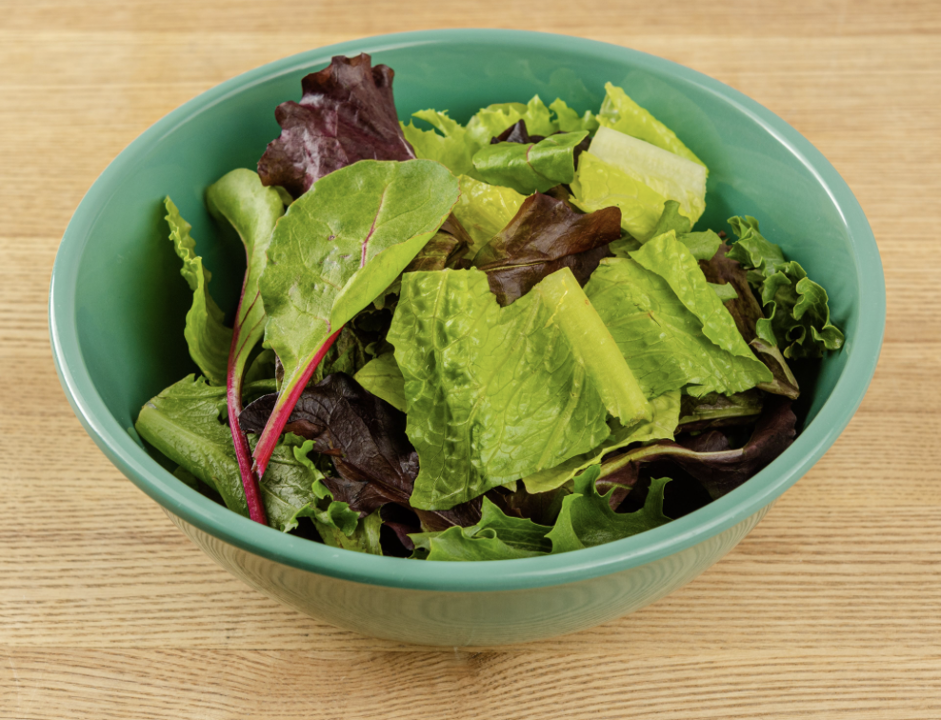 The Little Chihuahua by null