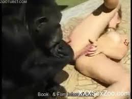 Monkey videos free porn videos jpg x Monkeys fucking