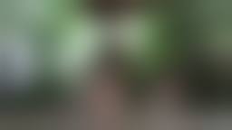 tokyo motion 最新 露天風呂|PHOTOS - Search Results For '露天風呂' - TOKYO Motion