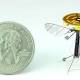 Robo-bee: miniature robot perches like an insect 