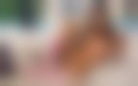 Raisa C pussy|Delicious Pretty Shaved Stunner Lily C Raisa with Open Pussy from  Errotica-Archives Wearing Necklace in Bed - TGP gallery #215332