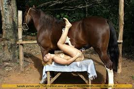 Very strong brown horse fucking brunette bigtits png x Fucked by horse