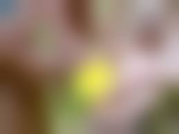 porn outdoor pissdrink.com|Outdoor Piss Orgy With 2 Females And Several Males