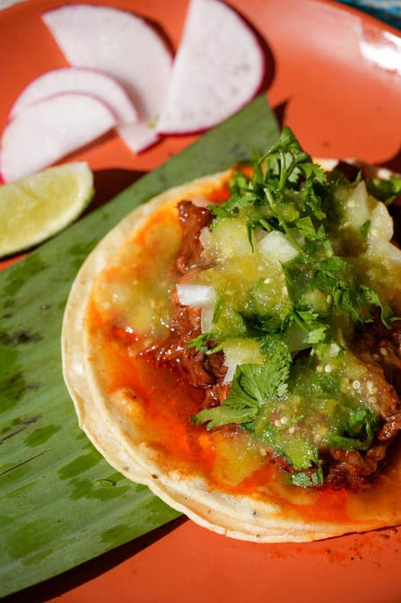 Las Guerreras by null