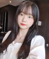 진자림합성|진자림 - 나무위키