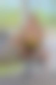 ftvgirls mindy nude|FTV model Mindy in Summer Cucumber | Erotic Beauties