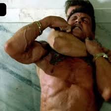 V dnfi sylvester stallone was a porn star jpg x Sylvester stallone celebrity