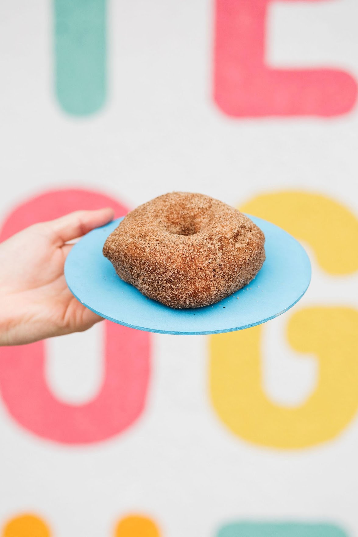 Scout's Doughnuts Greenville by null