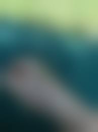 tonkato хентай|Посты пользователя Nikita_exe - JoyReactor