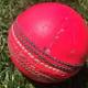 Pink ball a swinging hit in Adelaide 