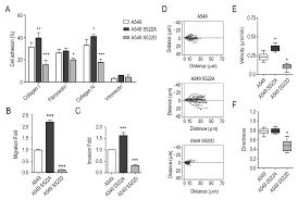lsm nudes 020|Frontiers | Circular RNA CircNOLC1, Upregulated by NF-KappaB, Promotes the  Progression of Prostate Cancer via miR-647/PAQR4 Axis