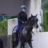 【菊花賞 俺のチェックポイント】９年連続参戦！友道厩舎の ...