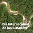 La Importancia de los Bosques Tropicales para la Biodiversidad ile ilgili video