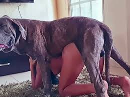 Artofzoo dogwoman movie beauty and the beasts part two dog porn movie jpg x Girl dog sex