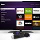 Understanding Roku's IPO and its growing platform revenues 