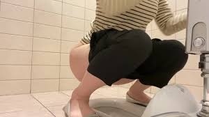 Japanese toilet jpg x Japanese toilet